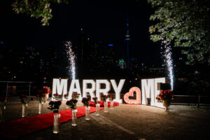 Proposal Packages marry me