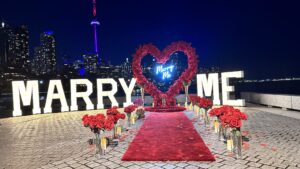 Proposal Packages marry me